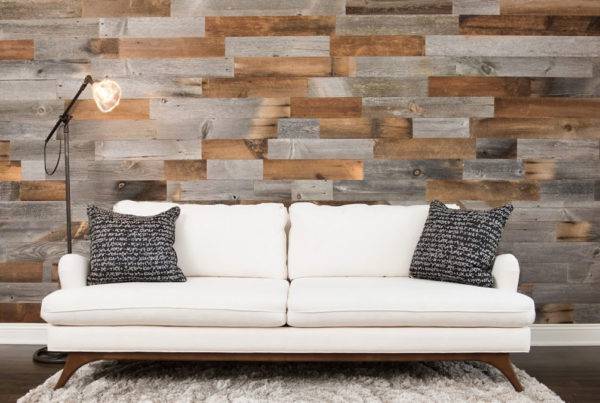 The Importance of a Tenant History Check